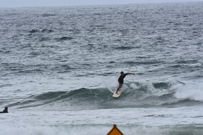 DSC_0582.JPG