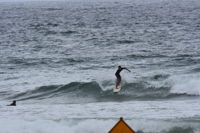 DSC_0583.JPG