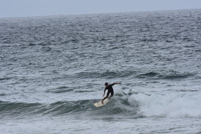 DSC_0584.JPG