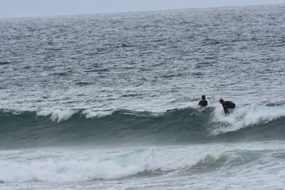 DSC_0586.JPG