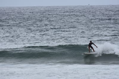 DSC_0589.JPG