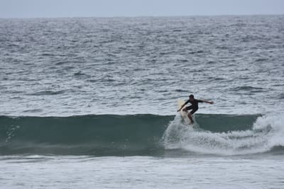 DSC_0591.JPG