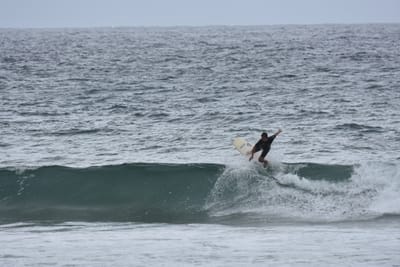 DSC_0592.JPG