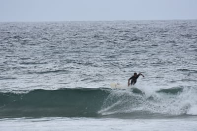 DSC_0593.JPG