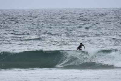 DSC_0594.JPG