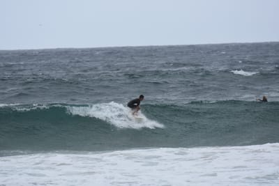 DSC_0595.JPG