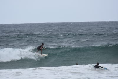 DSC_0597.JPG