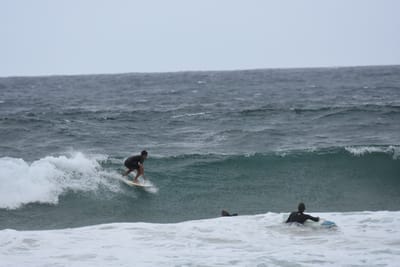DSC_0598.JPG