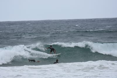 DSC_0599.JPG