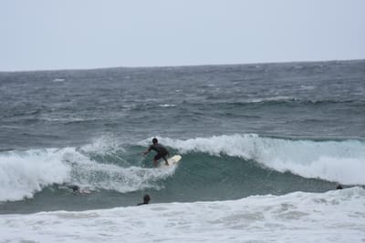DSC_0600.JPG