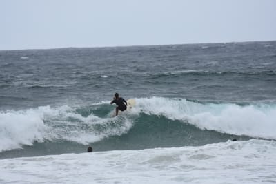 DSC_0601.JPG