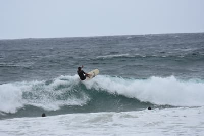 DSC_0602.JPG