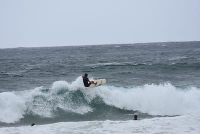 DSC_0603.JPG