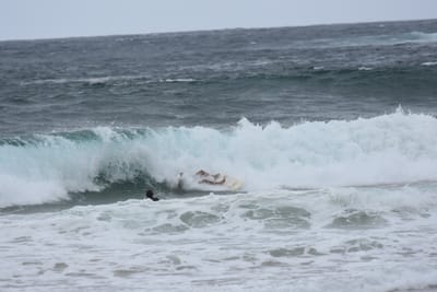 DSC_0607.JPG