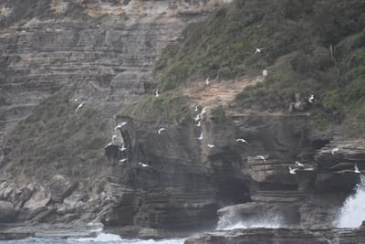 DSC_0608.JPG