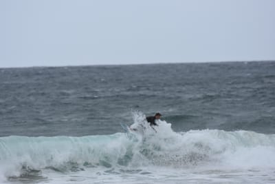 DSC_0610.JPG