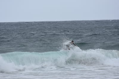 DSC_0611.JPG