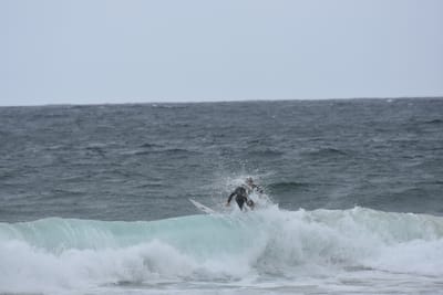 DSC_0612.JPG