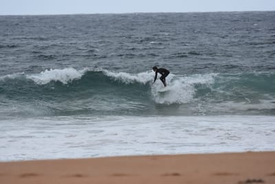 DSC_0613.JPG