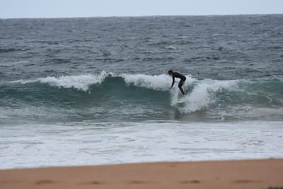 DSC_0614.JPG