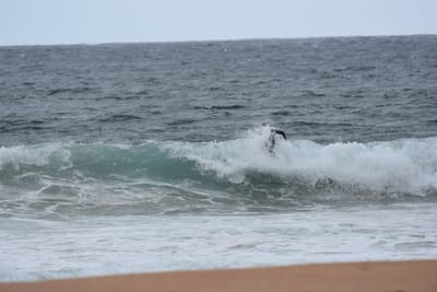 DSC_0616.JPG