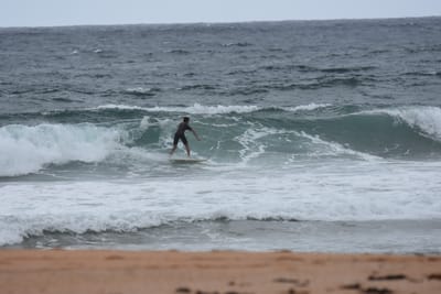 DSC_0619.JPG