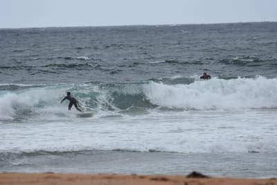 DSC_0620.JPG
