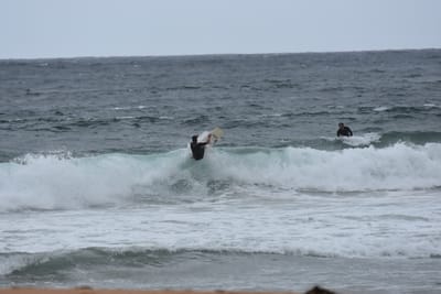 DSC_0623.JPG
