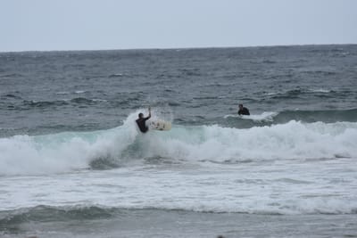 DSC_0624.JPG