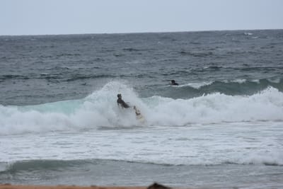 DSC_0626.JPG