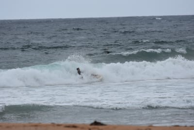DSC_0627.JPG
