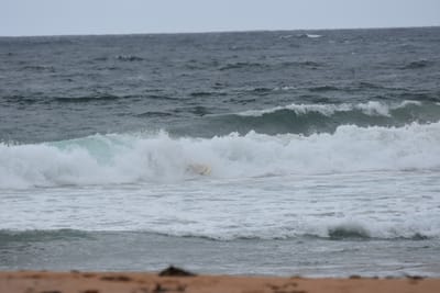 DSC_0628.JPG