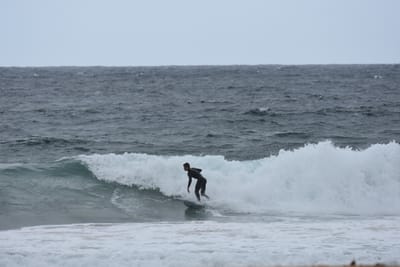 DSC_0629.JPG