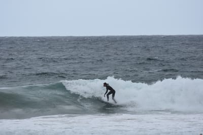 DSC_0630.JPG