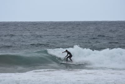 DSC_0631.JPG