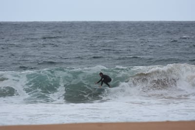 DSC_0637.JPG