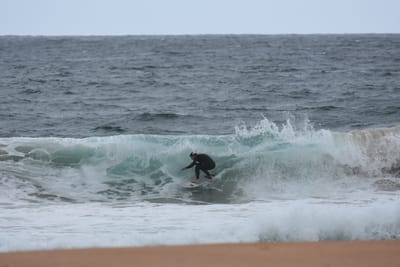 DSC_0639.JPG