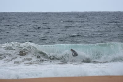 DSC_0641.JPG