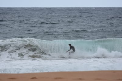 DSC_0642.JPG