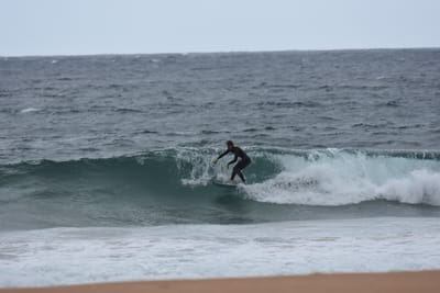 DSC_0649.JPG