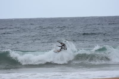 DSC_0657.JPG