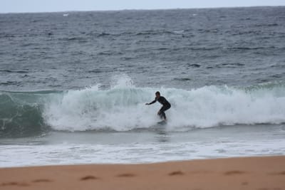 DSC_0661.JPG