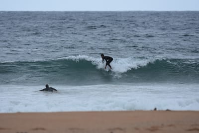 DSC_0664.JPG
