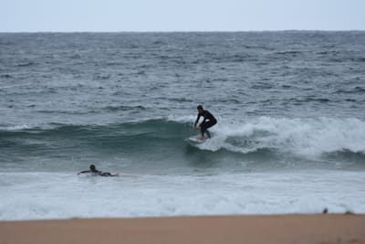DSC_0666.JPG
