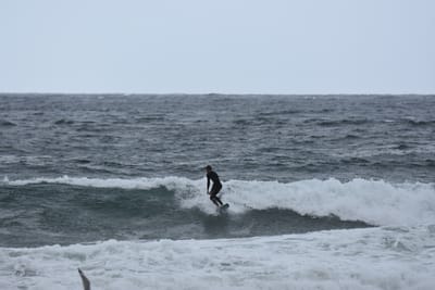 DSC_0668.JPG