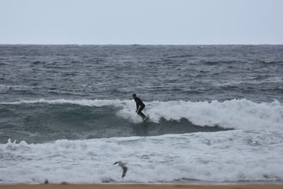DSC_0669.JPG