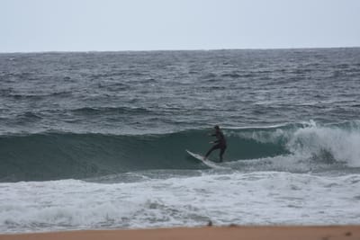 DSC_0675.JPG