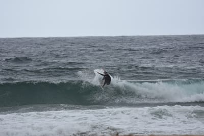 DSC_0678.JPG