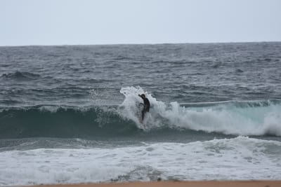 DSC_0679.JPG