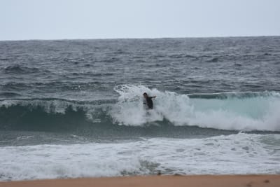 DSC_0680.JPG
